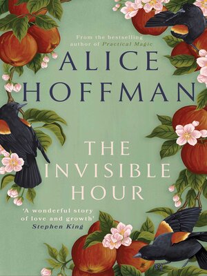 cover image of The Invisible Hour